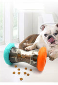 Swaggy Feeder Toy