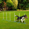 Swaggy PawHut Adjustable Dog Agility Poles