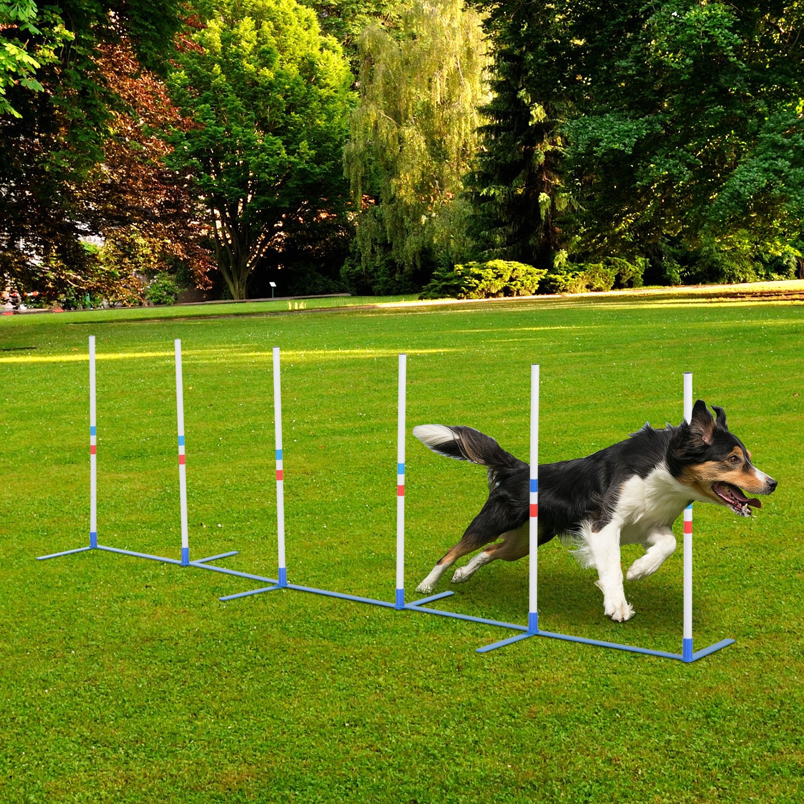 Swaggy PawHut Adjustable Dog Agility Poles