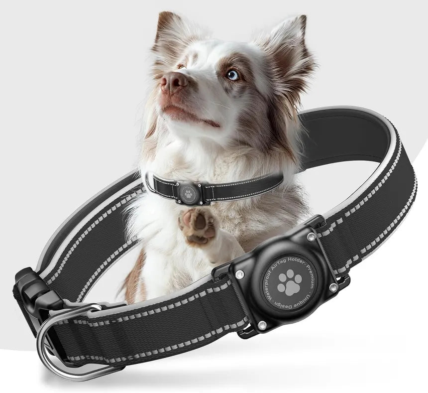 Airtag Collar